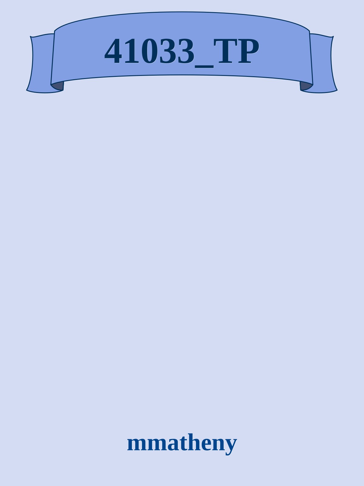 41033_TP