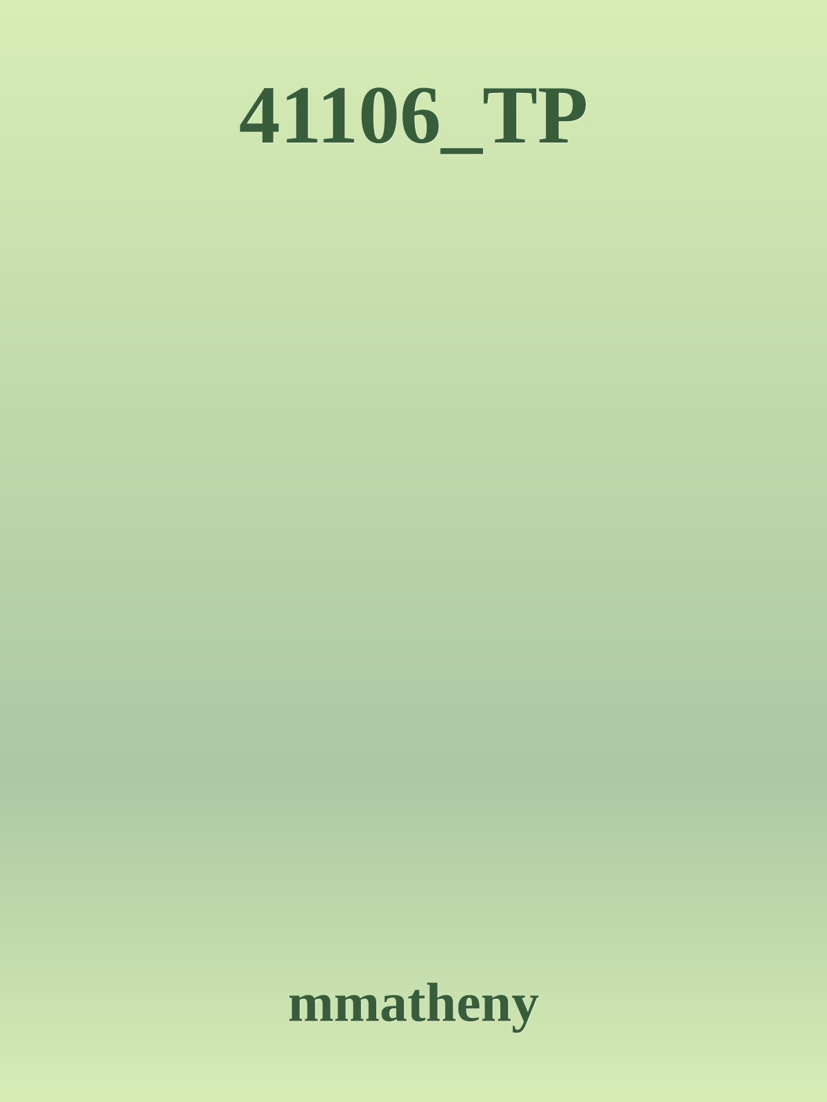41106_TP