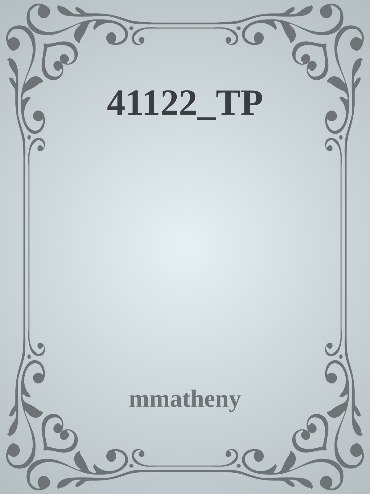41122_TP